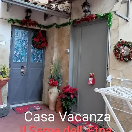 Seme Dell' Etna Catane