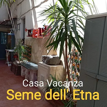 Seme Dell' Etna
