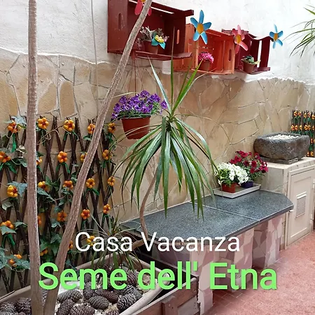 Seme Dell' Etna Catane